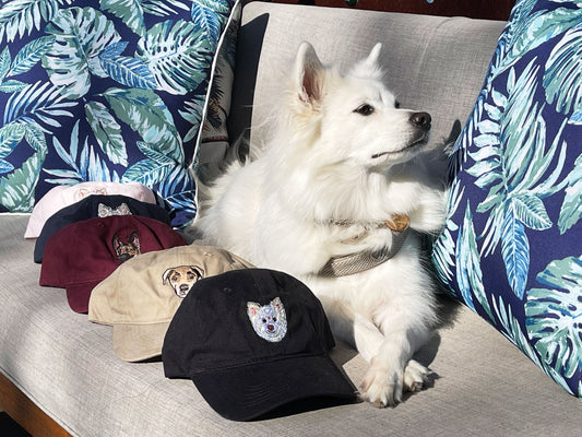 Buffy sits patiently by a row of Dog Dad Hats, eagerly awaiting her treat.