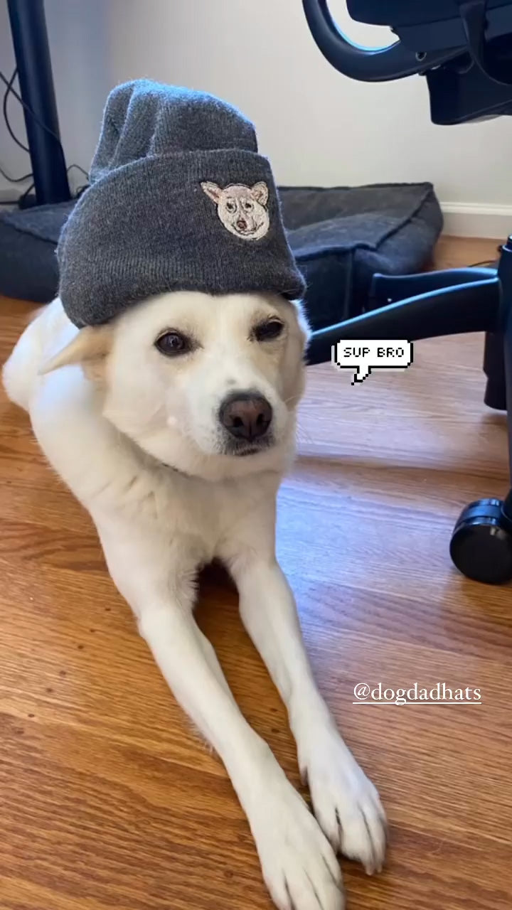 A Korean Village Dog wearing a custom dog beanie with her face on it.